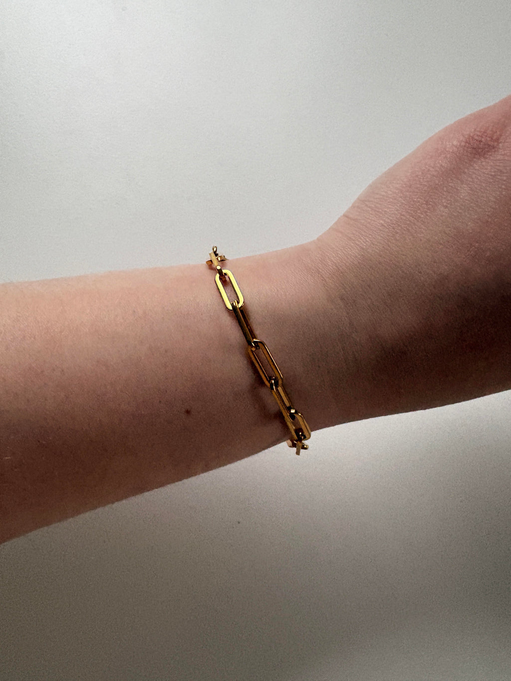 Rue Link Bracelet